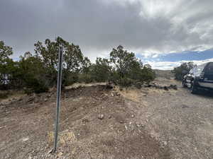 View of local wilderness