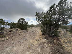 View of undeveloped land