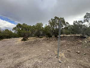 View of front of the lot