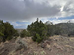 View of undeveloped land