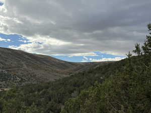 View of mountain backdrop featuring a forest