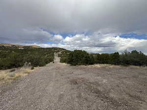 View of dirt / gravel road