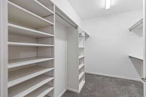 Spacious primary closet with light carpet