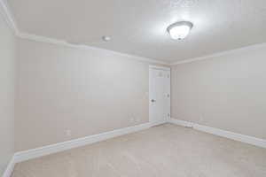 Unfurnished room featuring carpet floors, a textured ceiling, and crown molding