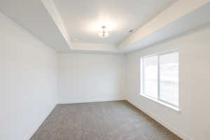 Empty room featuring light colored carpet and a raised ceiling