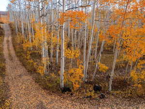 View of undeveloped land