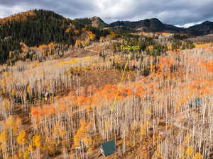 View of mountain background with a heavily wooded area