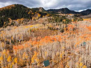 Mountain view with a forest