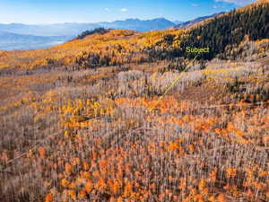 View of mountain background featuring a heavily wooded area