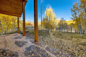 View of yard featuring a patio area