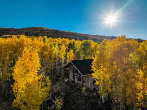View from above of property with a forest