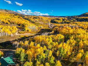 Bird's eye view of a heavily wooded area