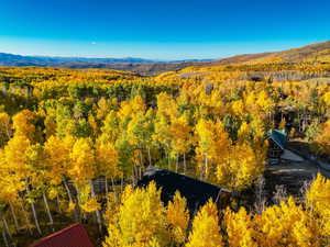 Drone / aerial view of a heavily wooded area and a mountain backdrop
