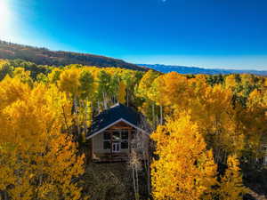 Aerial view of property and surrounding area featuring a heavily wooded area