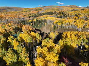 Aerial view of a heavily wooded area