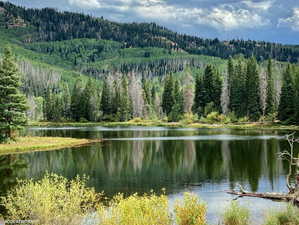 Water view featuring a forest