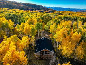 View from above of property with a forest and a mountain backdrop