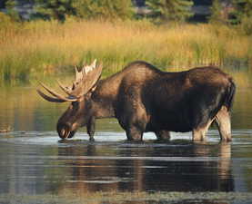 View of property's community