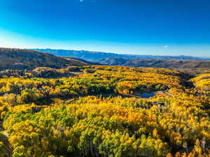 View of mountain backdrop with a forest