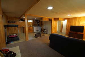 Living area with washer / dryer, light carpet, and wood walls