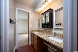 Full bathroom with dark wood-style floors, double vanity, and dark colored carpet