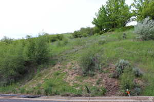 View of undeveloped land