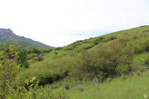View of mountain backdrop