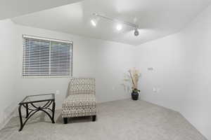 Sitting room with rail lighting and carpet floors