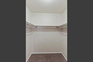 Spacious closet with carpet floors