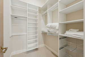 Walk in closet featuring light carpet