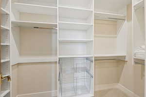 Walk in closet with light colored carpet