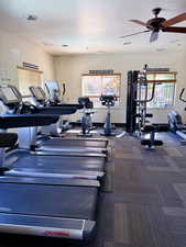 Exercise room featuring ceiling fan