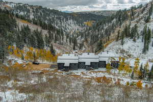 Snowy aerial view featuring a wooded view and a mountain view