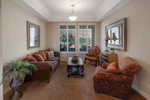 Living area with healthy amount of natural light, a raised ceiling, and carpet floors