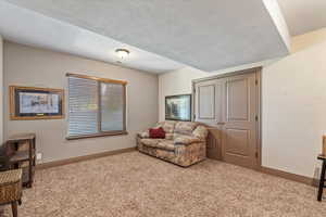 Living area featuring carpet flooring and a textured ceiling