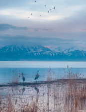 Water view with a mountainous background