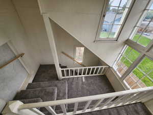 Stairway featuring healthy amount of natural light, wooden walls, and carpet flooring