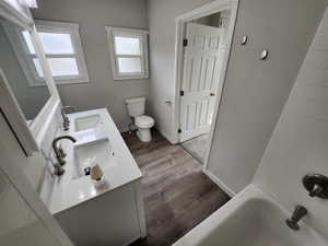 Full bathroom featuring dark wood-type flooring and double vanity