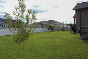 View of fenced backyard
