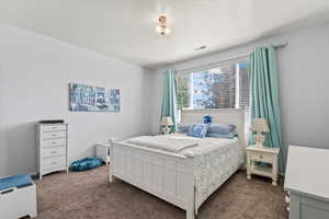 Bedroom with dark colored carpet