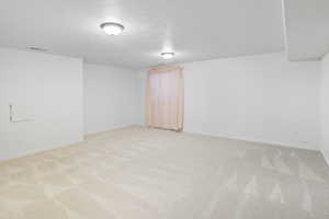 Room featuring light colored carpet and a textured ceiling