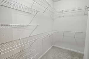 Spacious closet featuring light colored carpet