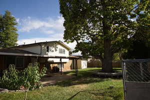 View of yard featuring a patio area