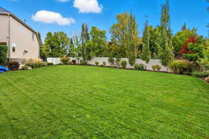 View of fenced backyard