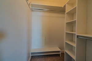 Walk in closet with dark colored carpet