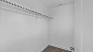 Spacious closet with dark colored carpet