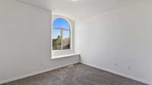 Carpeted empty room with baseboards and lofted ceiling