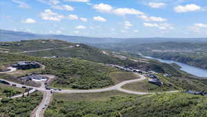 Bird's eye view of a heavily wooded area and a mountainous background