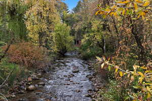 Water view featuring a forest