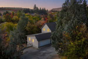 Aerial view at dusk of a forest view